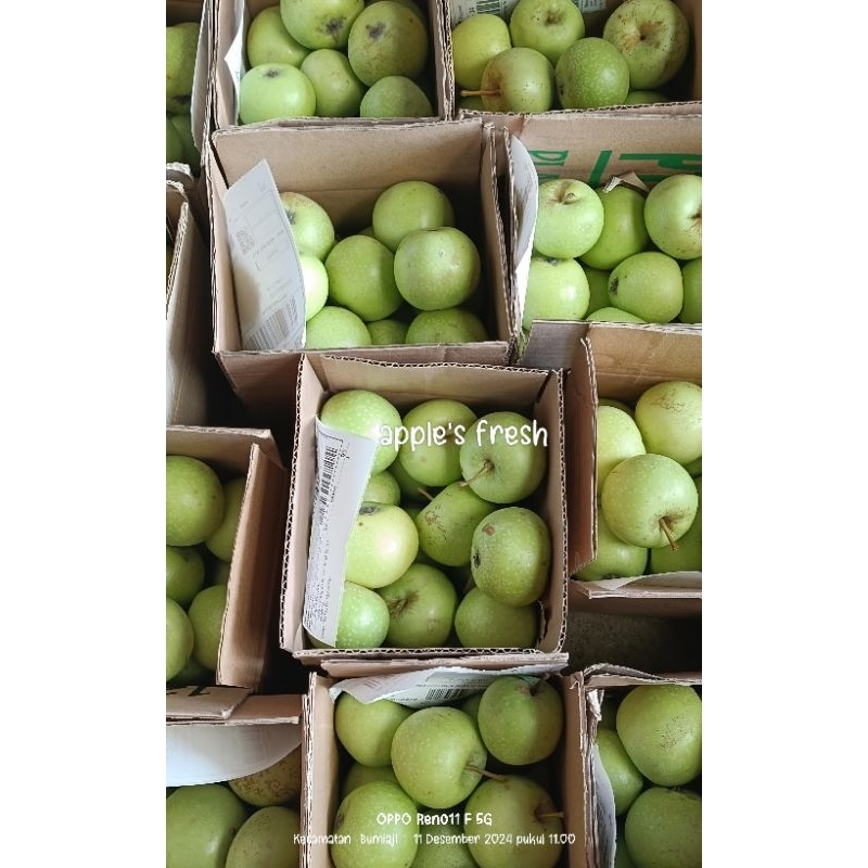 Jual Apel Malang Terlengkap & Harga Terbaru Agustus 2026 | Shopee Indonesia