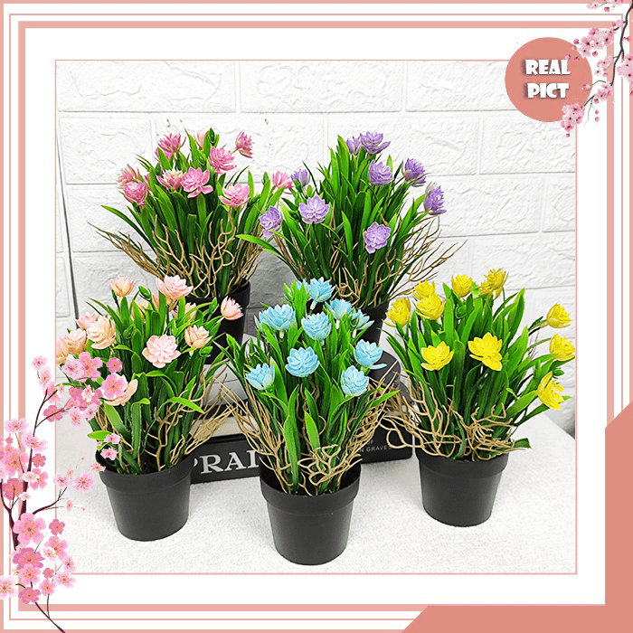 Jual UNICO Tanaman Hias Plastik Artificial Pot Bunga Lotus Rumput Akar ...