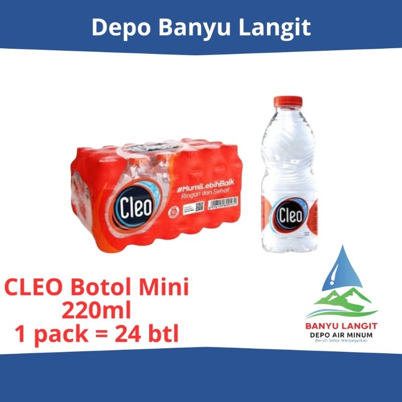 Jual CLEO Botol Mini 220ml (1 pack = 24 botol mini) | Shopee Indonesia