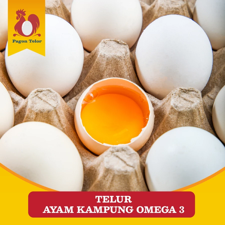 TELUR AYAM KAMPUNG OMEGA/TELUR KAMPUNG OMEGA (Isi 1 tray = 30 BUTIR)