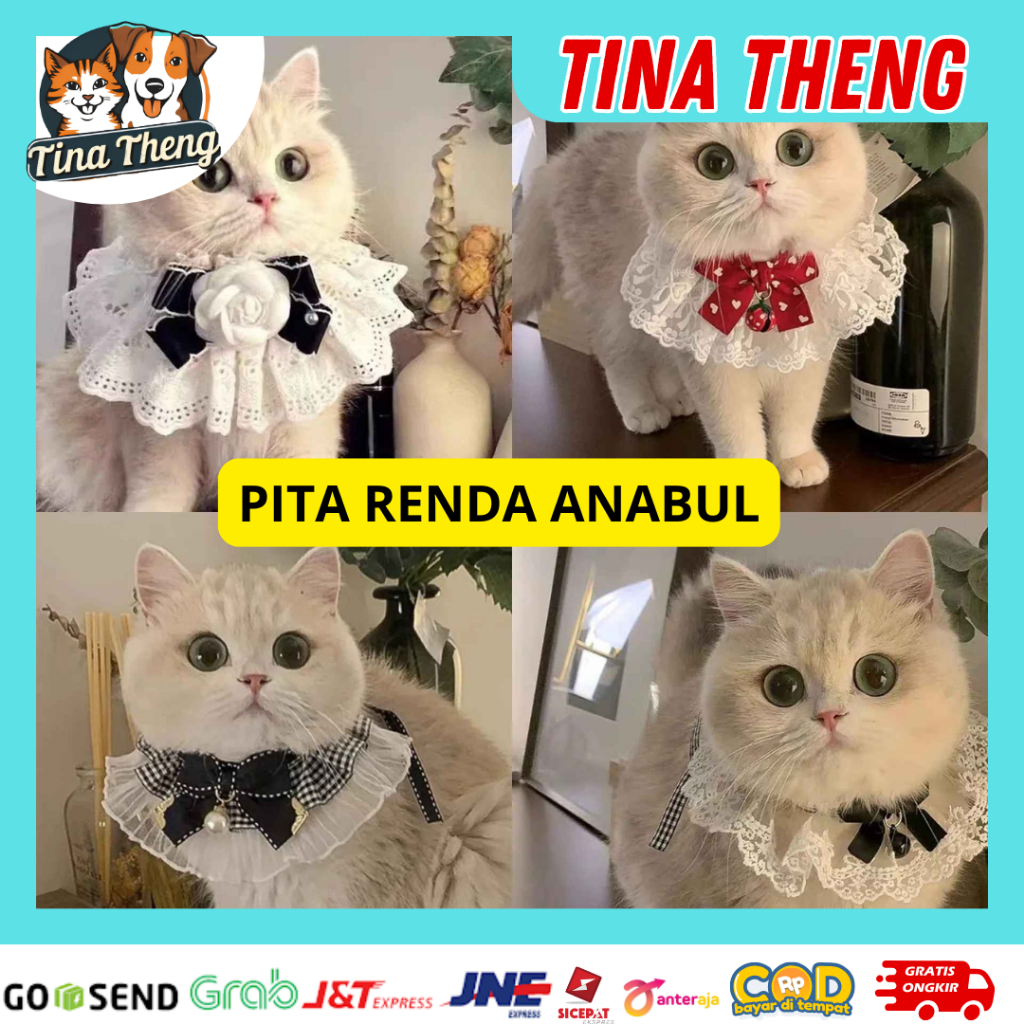 Jual Tinathengstore (BISA COD&INSTAN)Pet Acessories Kain Nyaman Untuk ...