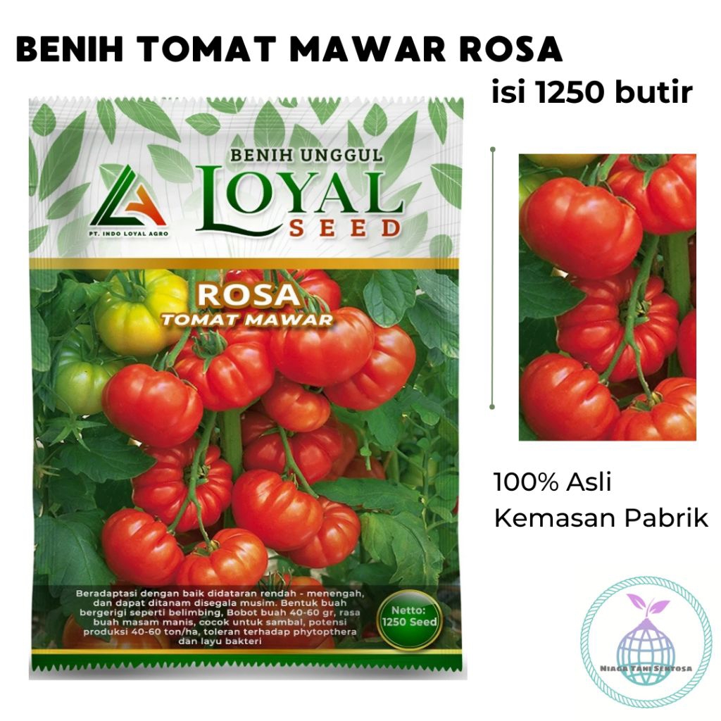 Jual Benih Tomat Mawar Rosa isi 1250 butir Cap Loyal Seed | Shopee ...