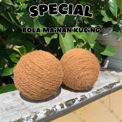 Jual bola cakaran kucing - cat scratcher - mainan anabul lucu | Shopee ...