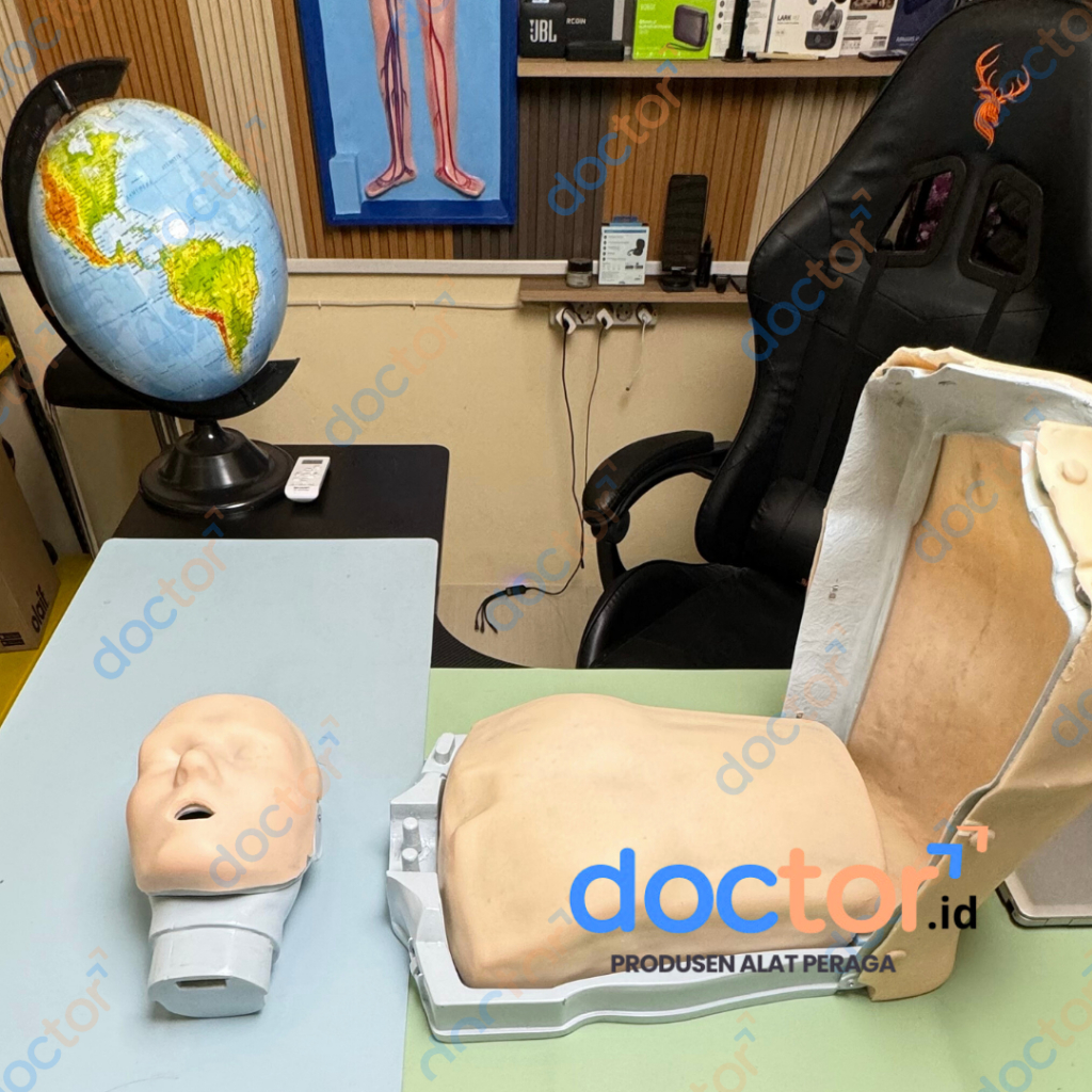 Jual [doctor] BHD-RJP-CPR /Phantom Manikin/Manekin-Alat Peraga ...