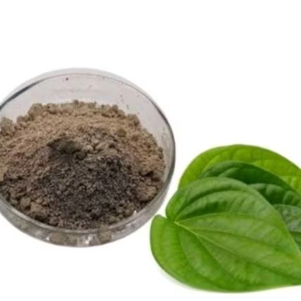 Jual suruh bubuk alami 250 gram | Shopee Indonesia