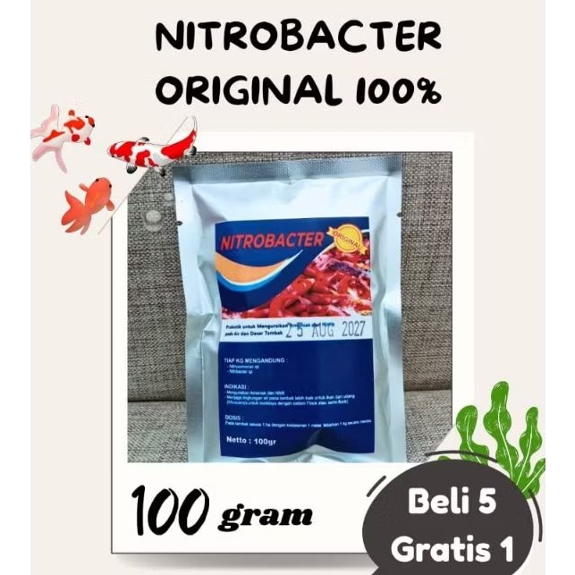 Jual Nitrobacter Original Probiotik Kolam koi dan Bioflok | Shopee ...