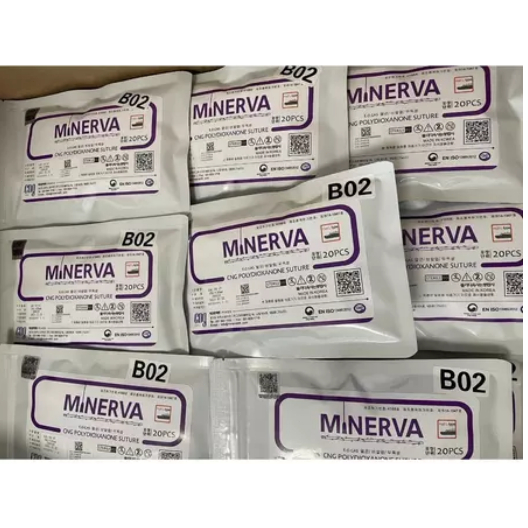 Jual MINERVA Fishbone MOLDING Special complete contains 20 nose lines ...