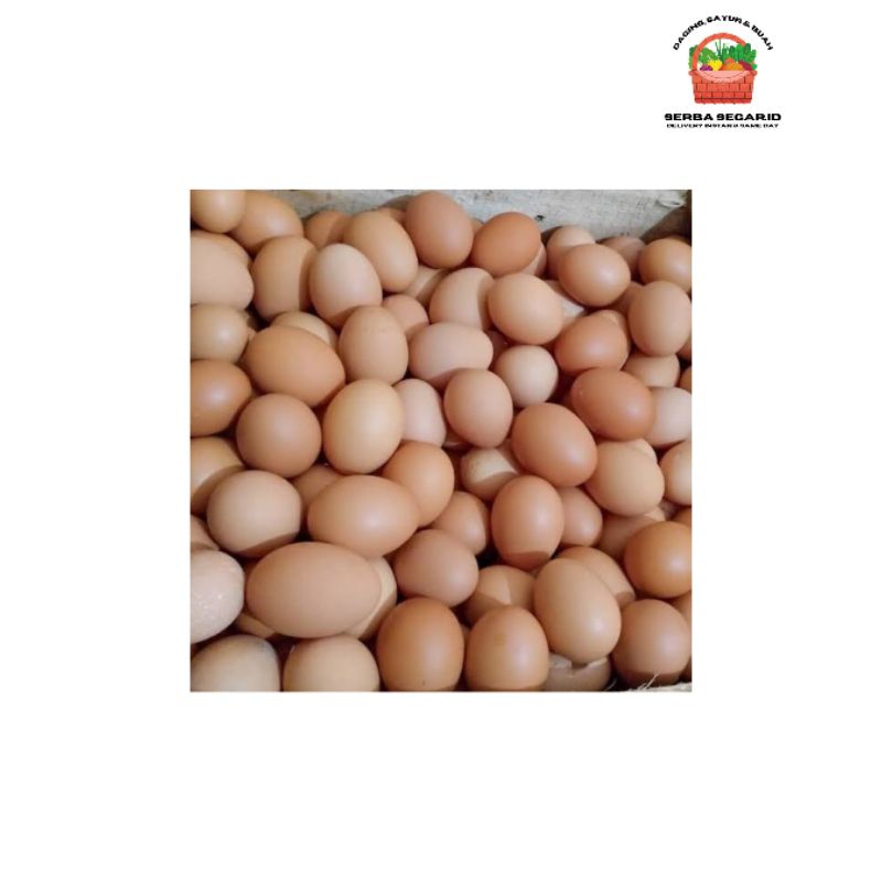 Jual Telur Ayam 10 Butir | Shopee Indonesia