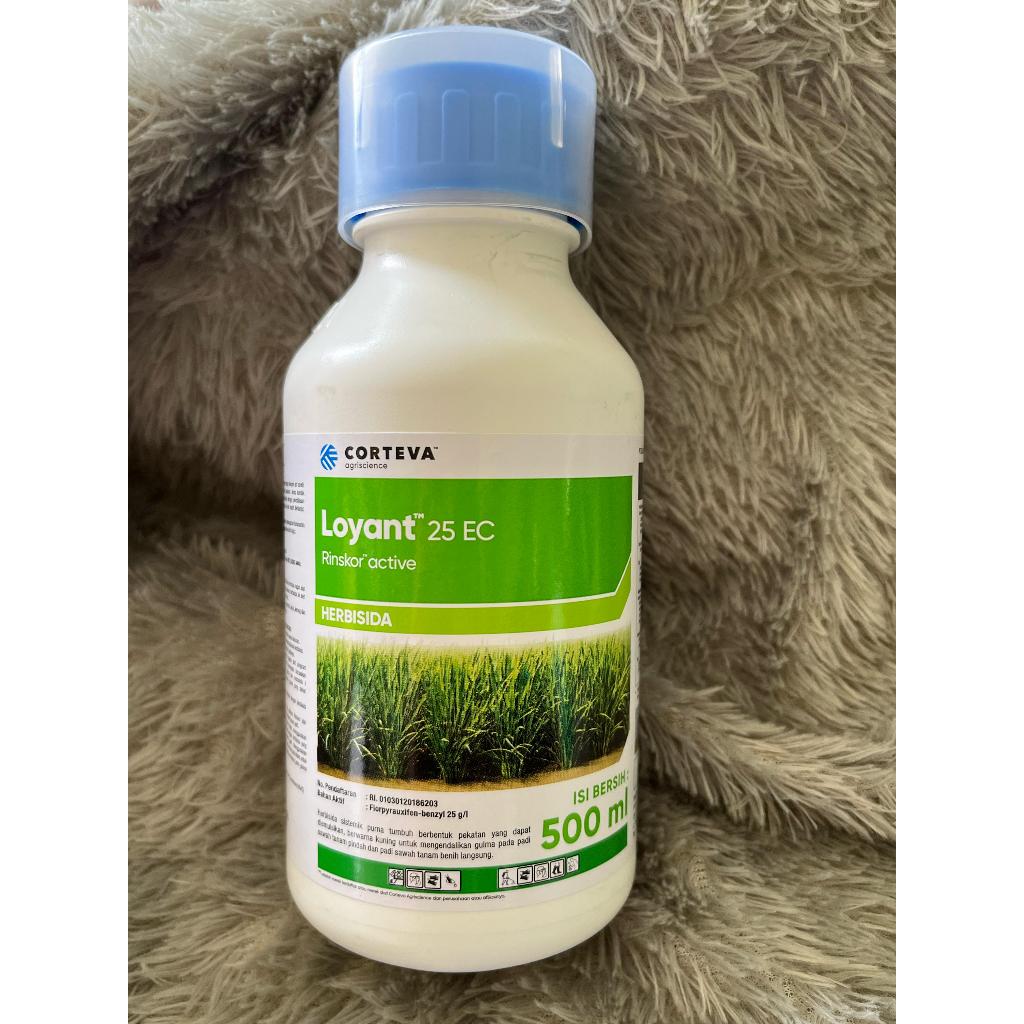 Jual HERBISIDA LOYANT 500ML 25EC | Shopee Indonesia