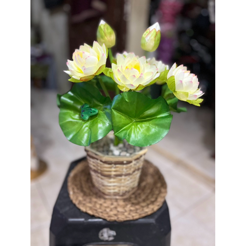 Jual Bunga meja bunga hias rangkai bunga teratai kodok bunga lotus ...