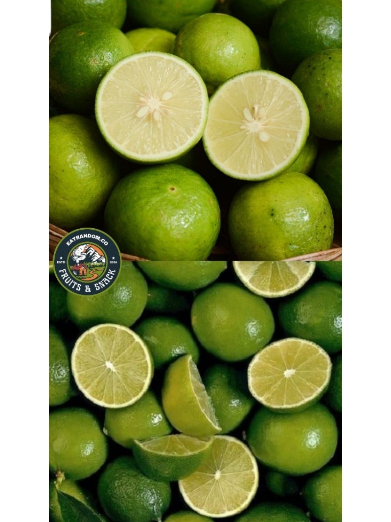 Jual JERUK NIPIS SEGAR 1KG FRESH TERMURAH | Shopee Indonesia