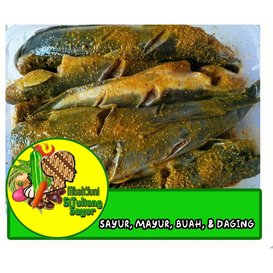 Jual Ikan Lele Bumbu Ungkep Kuning | Shopee Indonesia