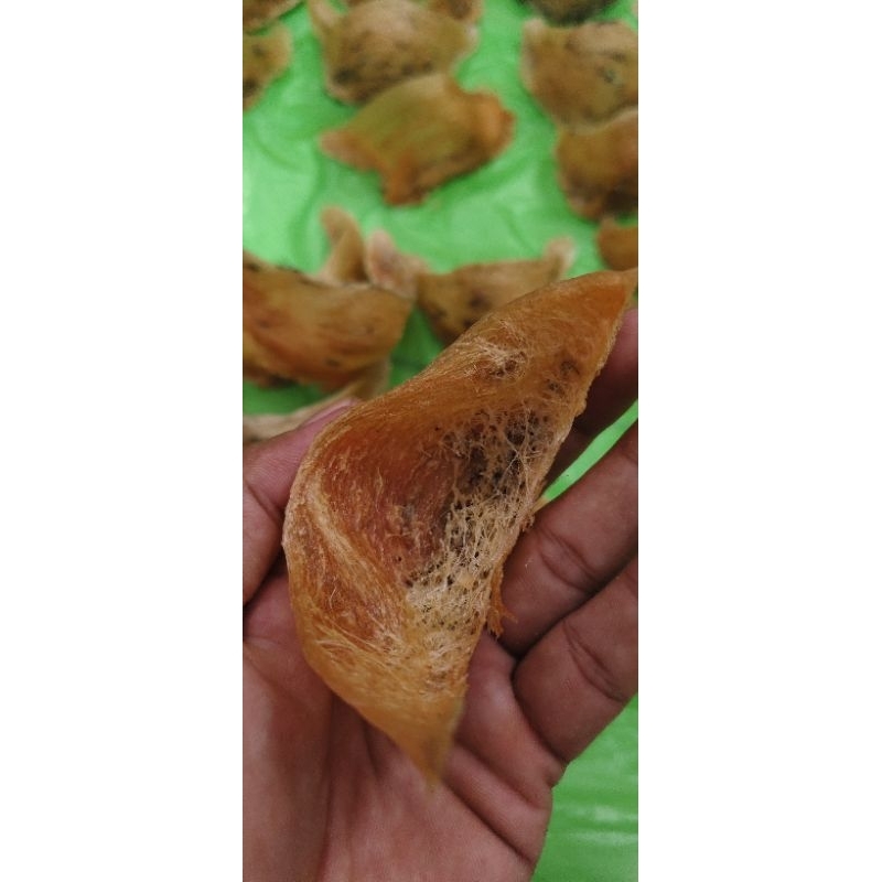 Jual sarang walet merah | Shopee Indonesia