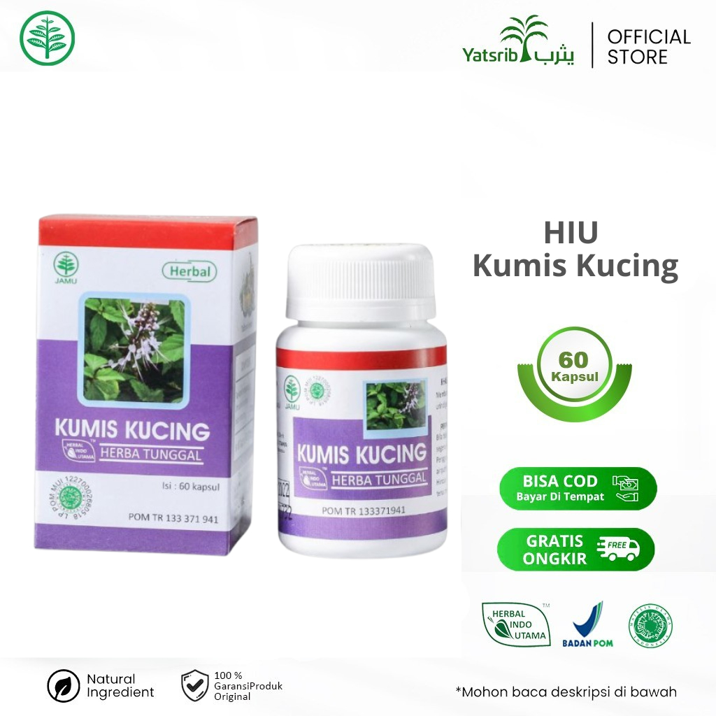 Jual Herbal Indo Utama Kumis Kucing Membantu Mengatasi Darah Tinggi
