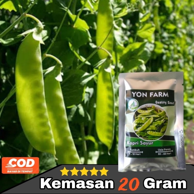 Benih Kapri Sayur Lokal Turun Indofood Kemasan 20 Gram Yon Farm
