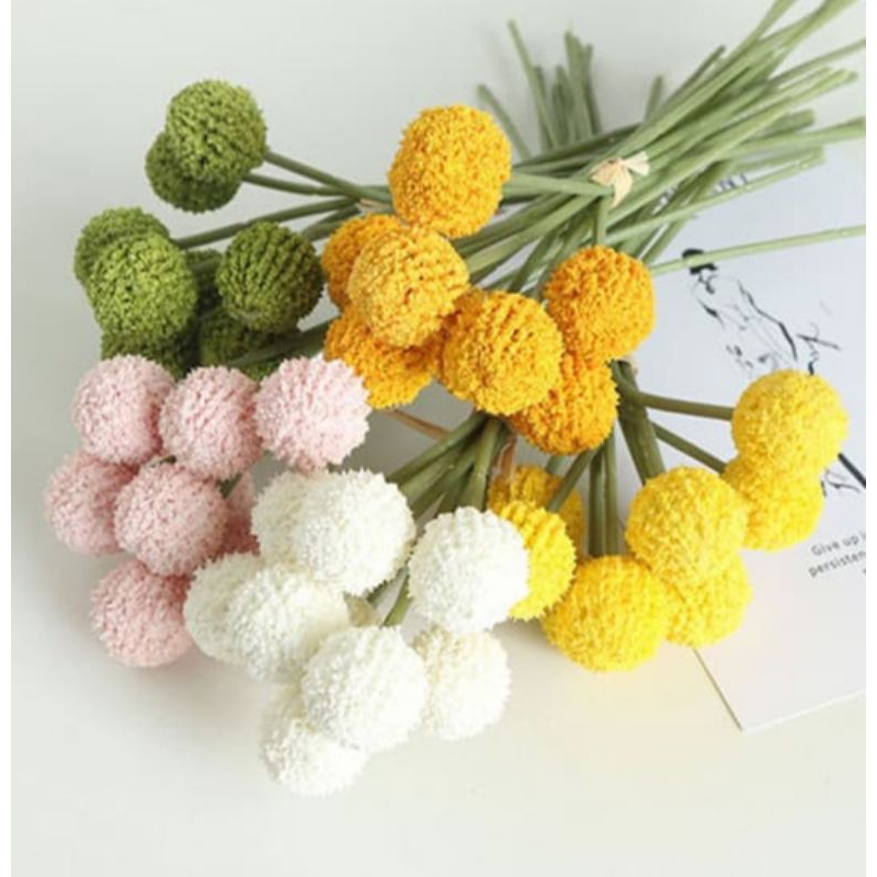 Jual Billy Button Artificial / bunga lolipop / bunga bulat | Shopee ...