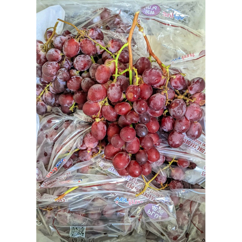 Jual ANGGUR PERU RRC IMPORT KRAT | Shopee Indonesia