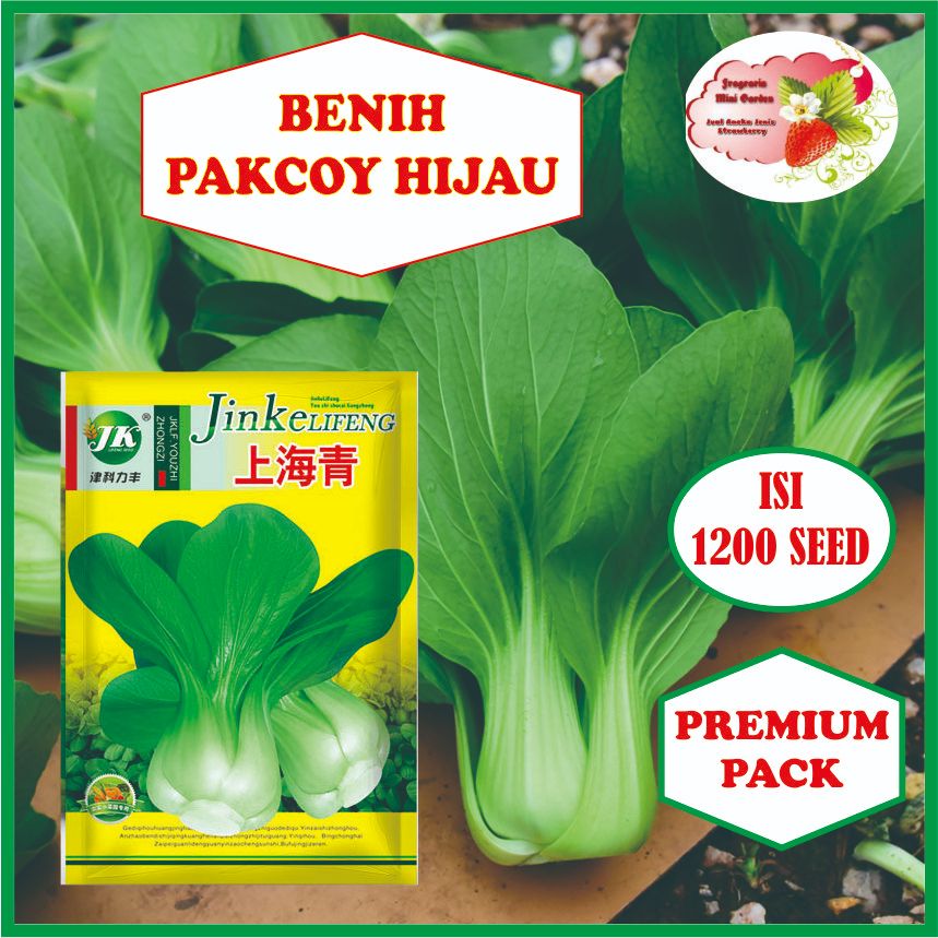 BENIH PAKCOY HIJAU ISI 1200 BIJI