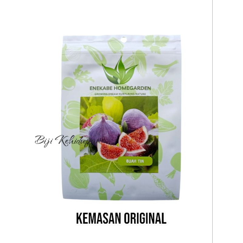 400 BUTIR BENIH TANAMAN BUAH TIN | ARA MERAH