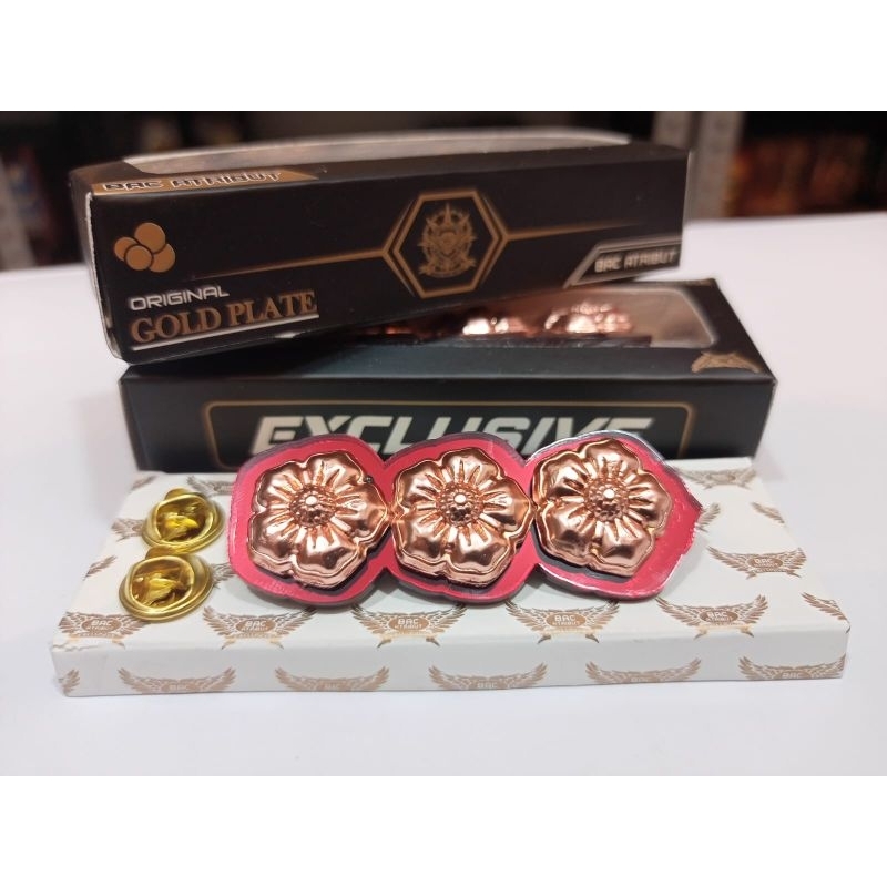 Jual Tanda jabatan kerah pin kerah CAMAT mika exclusive | Shopee Indonesia