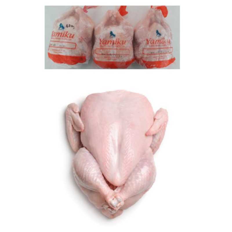 Jual AYAM KARKAS NEGRI BROILER NEGRI UKURAN 1kg-1,1kg | Shopee Indonesia