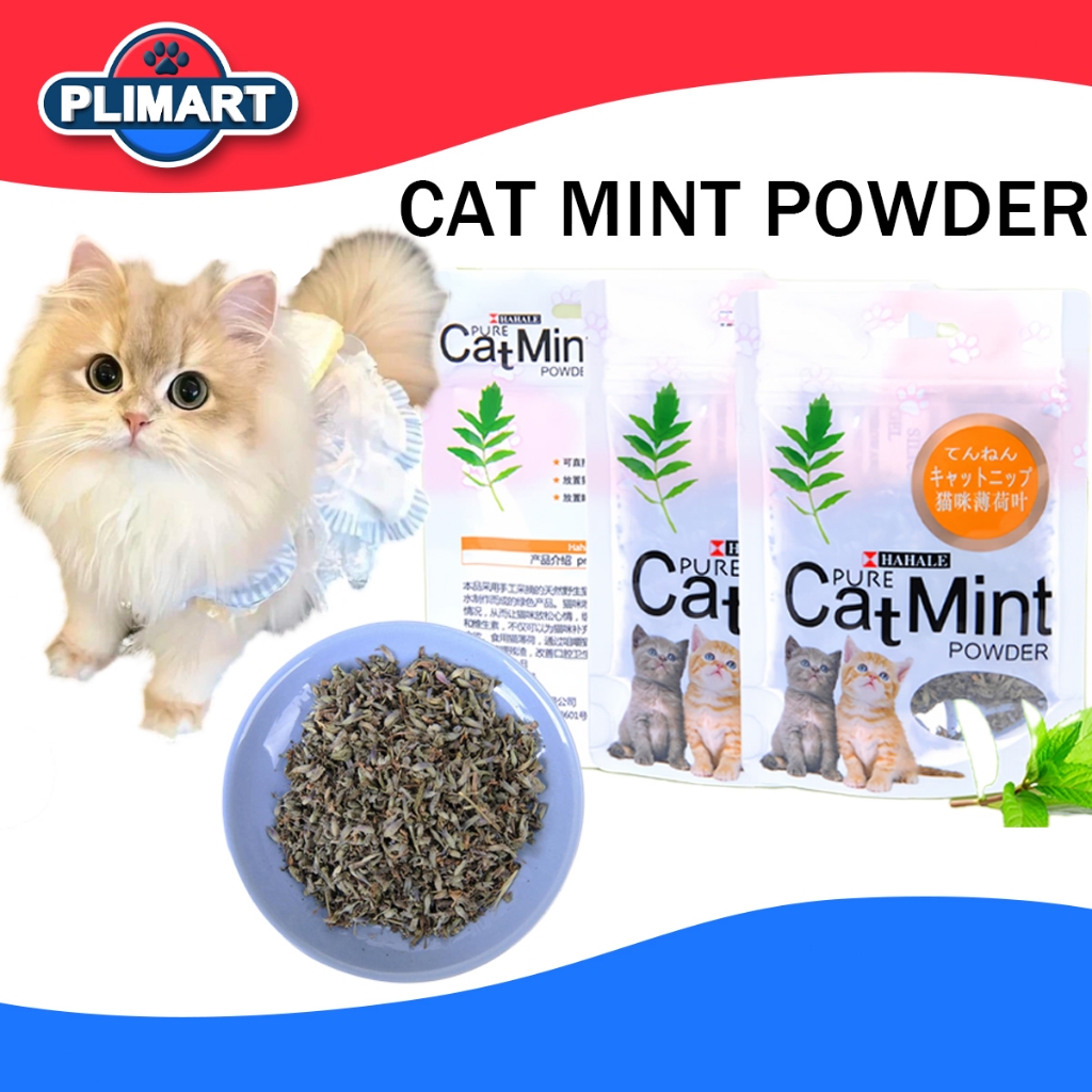 Jual Catnip Catmint Cat Mint snack hewan peliharaan kucing pelengkapan ...