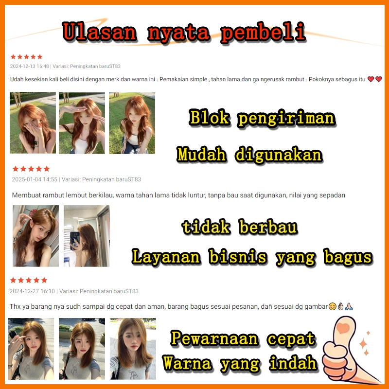 Jual [Viral 2026]STYLE FIT ash brown hair color 200ml - Hair Dye Cream ...