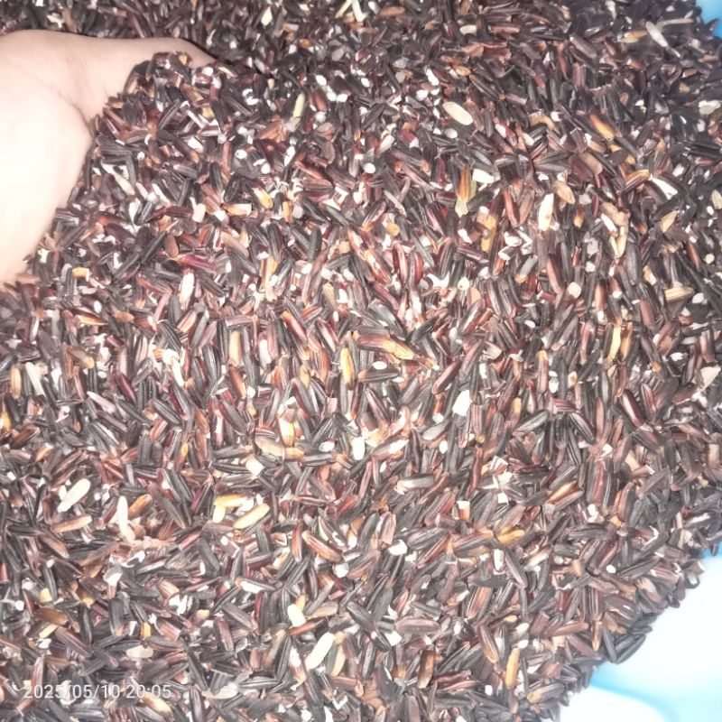 Jual Beras Ketan 1 Kg Harga Terlengkap & Harga Terbaru Juli 2026 ...