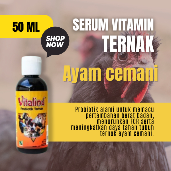 Jual Vitamin ternak hewan ayam cemani vitamin ayam aduan biar cepat