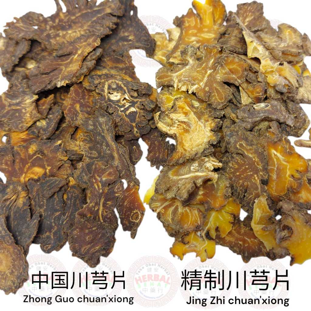 Jual Cuan Kiong 100 Gram 川芎片 Chuan Kiong / Premium Chuan Xiong Sichuan ...