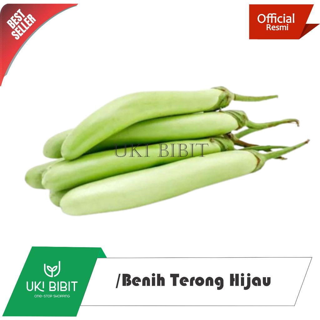 Jual ( 500 Butir ) Benih Biji Terong Hijau | Eggplant | Solanum ...