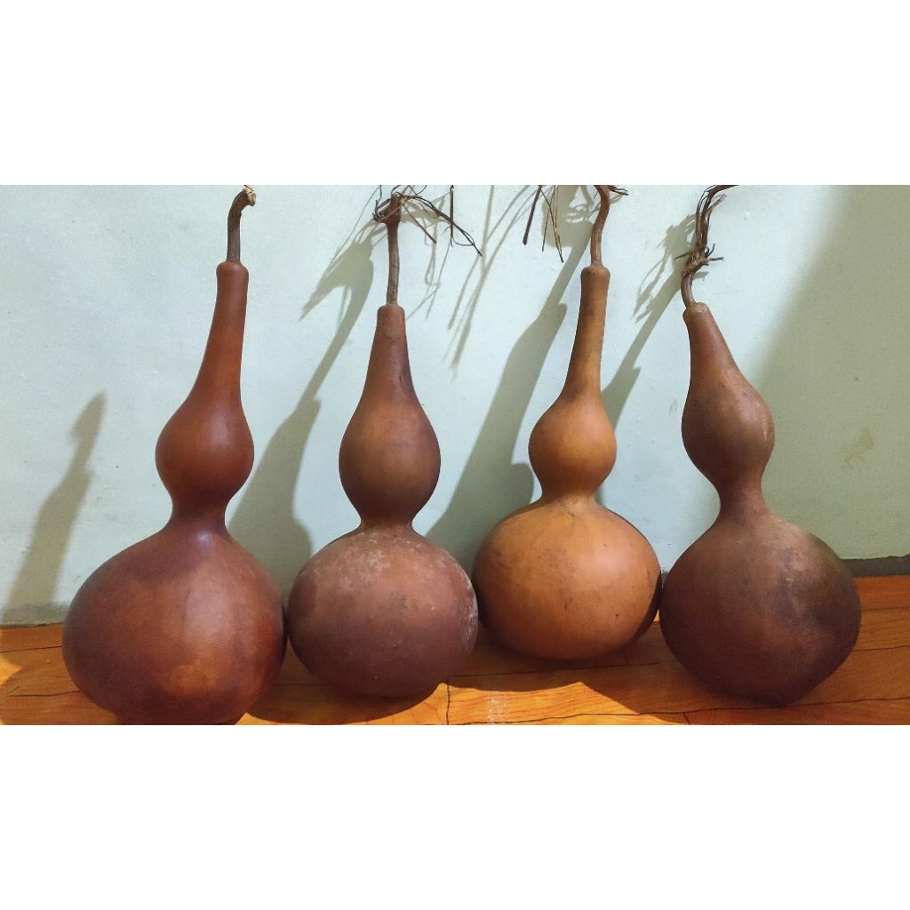 Jual LABU BOTOL KERING_BUAH UTUH | Shopee Indonesia
