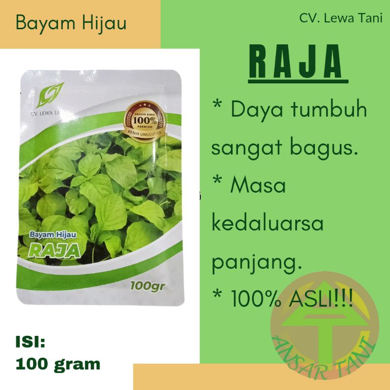 Jual Benih Bayam Hijau RAJA (isi: 100 gram) CV. LEWA TANI | Shopee ...