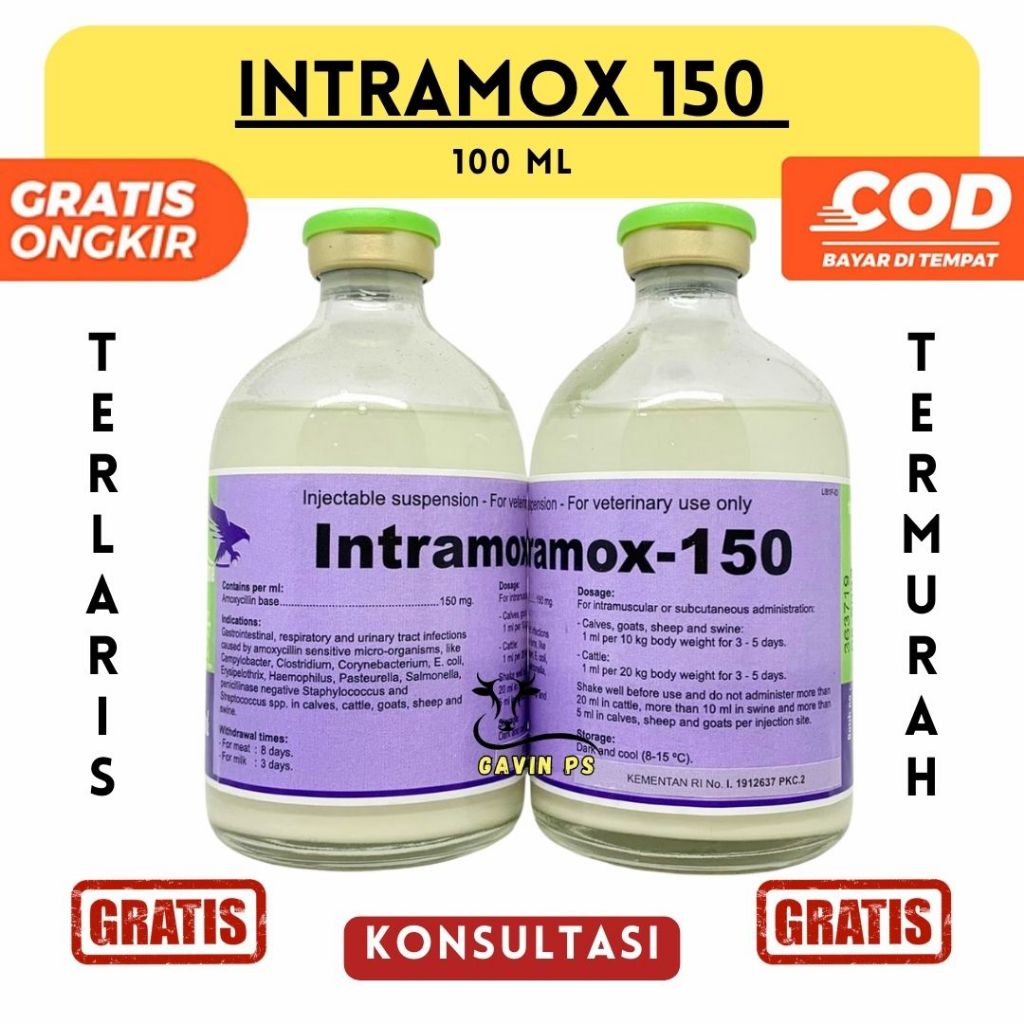 Jual INTRAMOX 150 100 ml UNGU - Antibiotik Hewan Amoxycillin Spektrum ...
