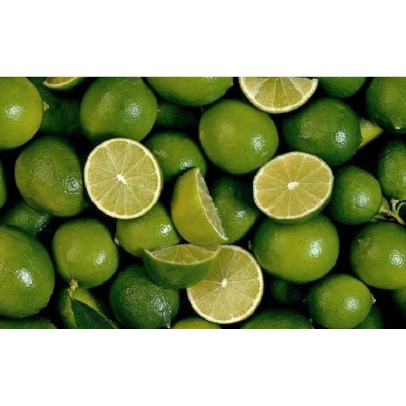 Jual Jual Jeruk Segar 1kg | Shopee Indonesia