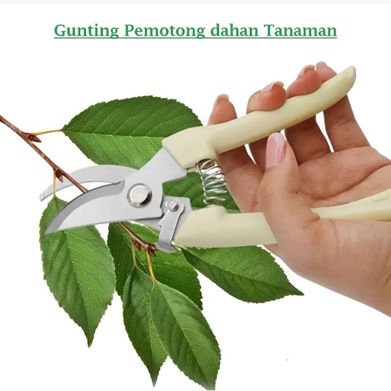 Jual ACCESORISE Gunting Dahan Ranting / Gunting Ranting Daun Tanaman ...