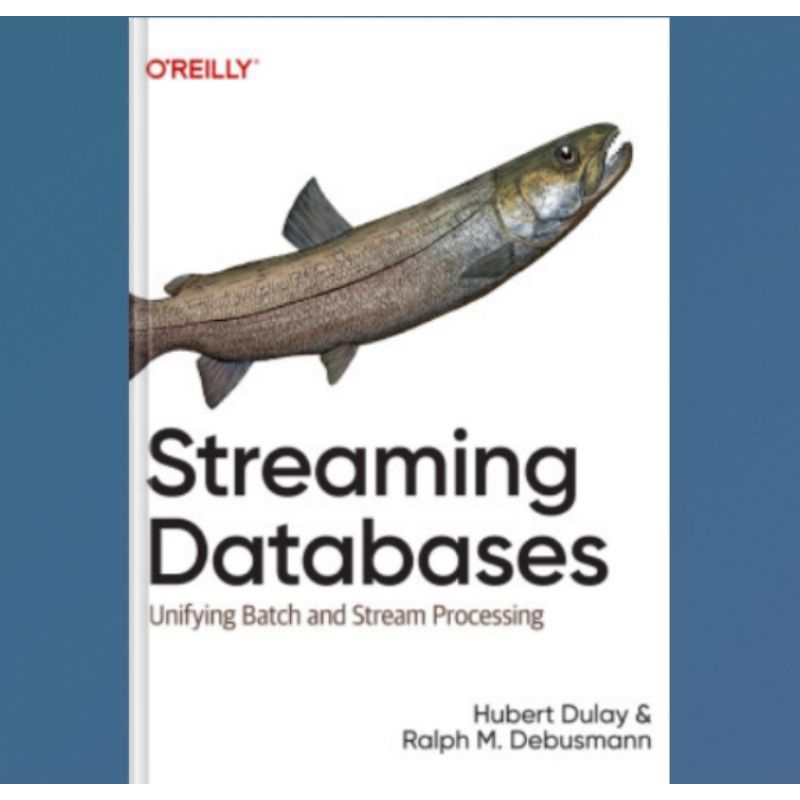Jual Buku Streaming Databases: Unifying Batch and Stream Processing ...