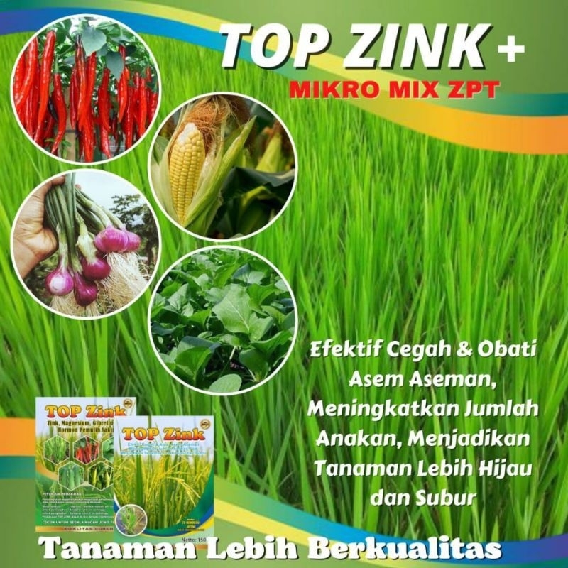Jual Pupuk TOP ZINK Pupuk Buah Lebat Nutrisi Pemulih Tanaman Sakit ...