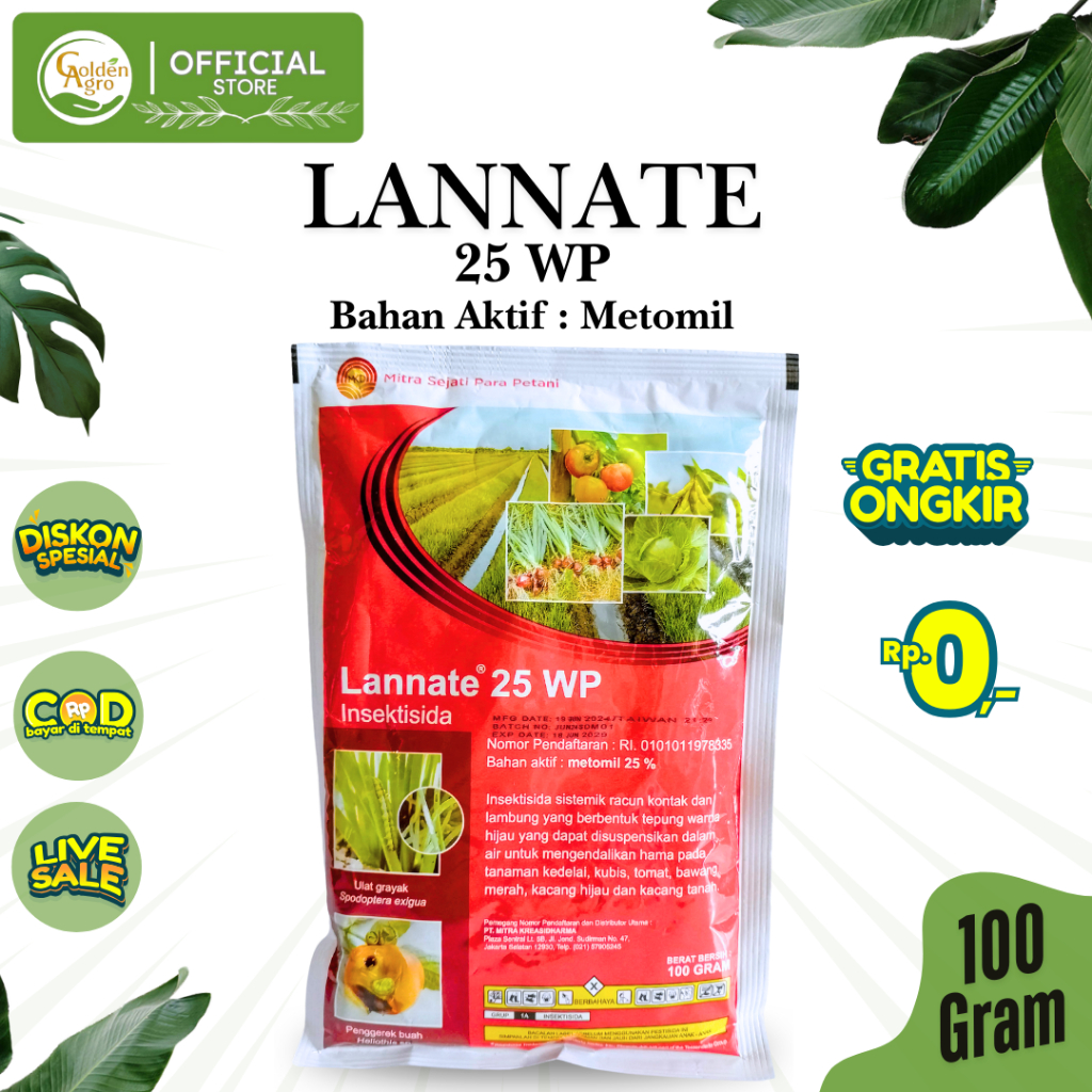 Temirtauda pul uchun jinsiy aloqa