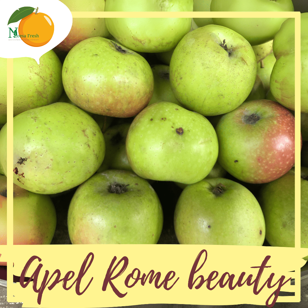 Jual Apel Rome Beauty Malang Fresh 1kg | Oleh-Oleh Khas Batu Malang ...