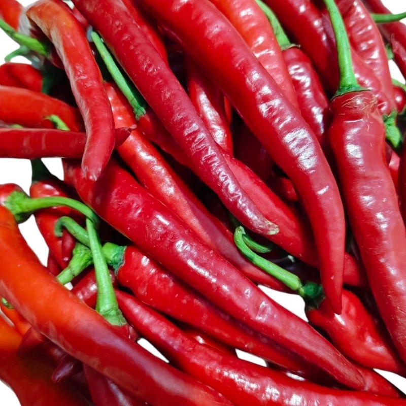 Jual cabe merah besar 500gram | Shopee Indonesia