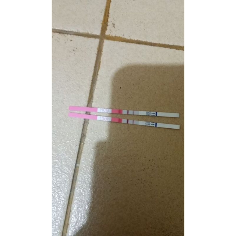 Jual PROMILAX / Suplement Penyubur Kandungan Ibu Cepat Hamil BPOM Halal ...