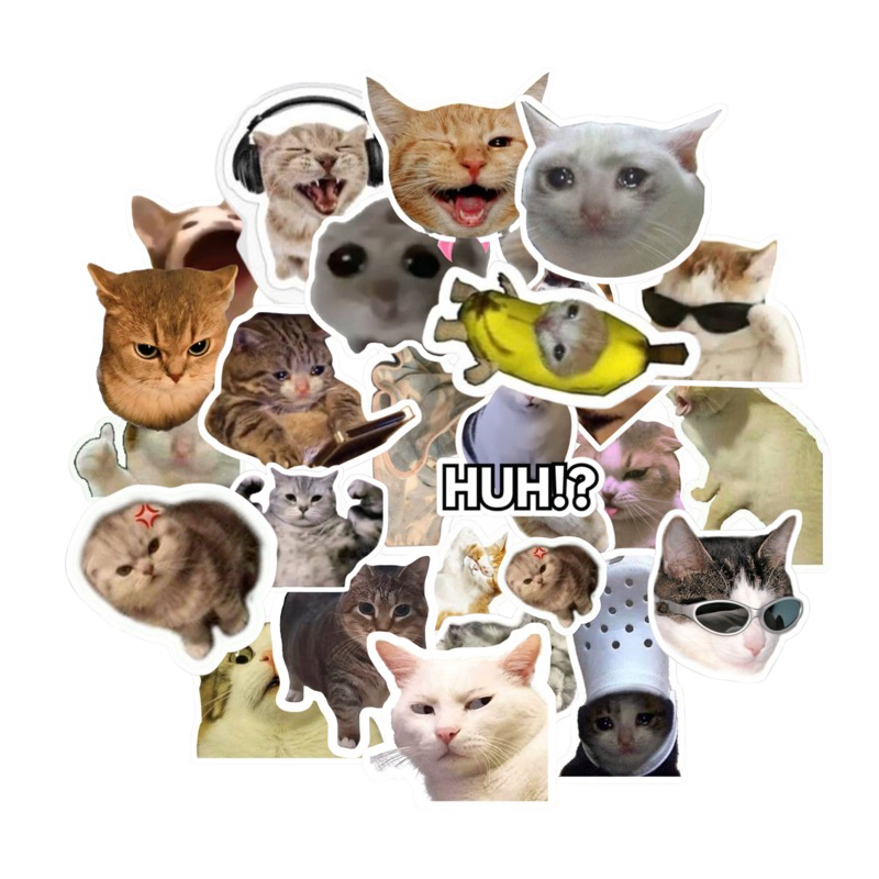 Jual Meme Kucing Sticker Packs 25+ Pcs Anti Air Bahan Vinyl | Stiker ...