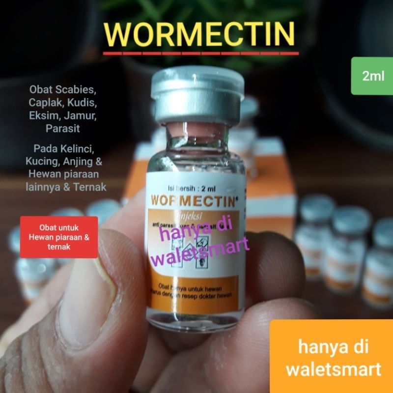 Jual WORMECTIN 2ml obat kutu jamur parasit cacing scabies kudis caplak ...