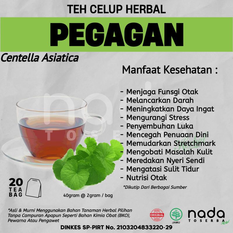 Jual Teh Celup Herbal PEGAGAN Isi 20 Tea Bag | Stroke & Nutrisi Otak
