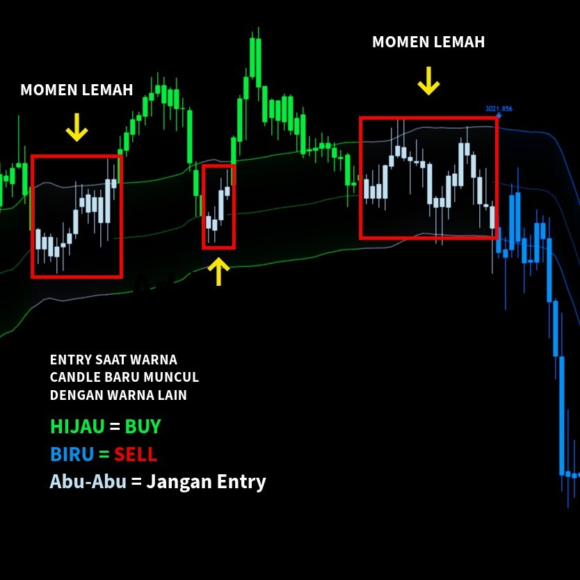 Jual FRAGMA MOMENTUM – Indikator TradingView TERCANGGIH! Deteksi Tren ...