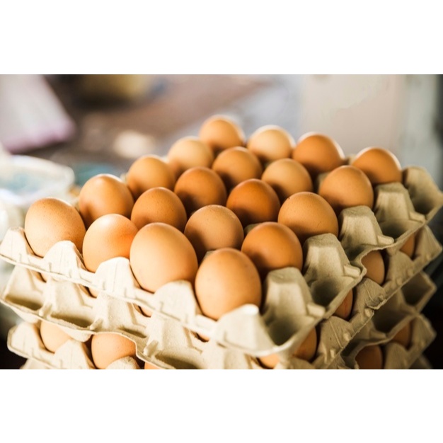 Jual Telur Ayam Negeri/Ras (Per Rak/Piring) | Shopee Indonesia