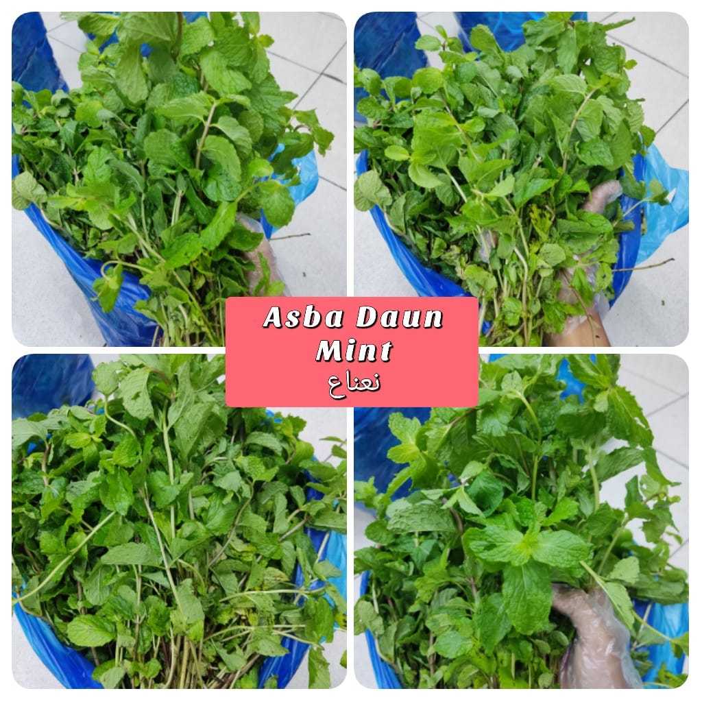 Jual ASBA SAYUR NANA / DAUN MINT 200G | Shopee Indonesia