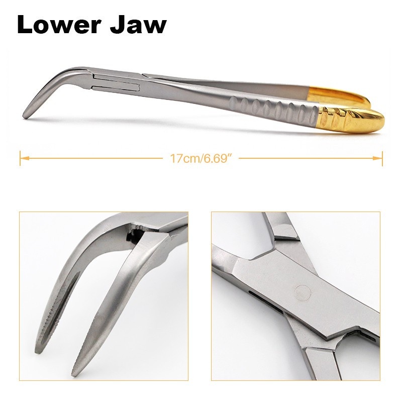 Jual Dental Root Fragment Forceps Teeth Extraction Forceps Tang Cabut ...