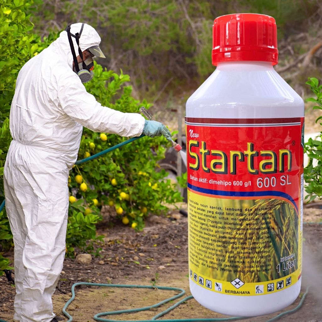 Jual STARTAN 600SL 1L Insektisida Modern Bahan Dimehipo Solusi Hama ...